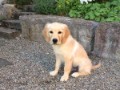 cooper-05  Cooper