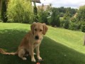 cooper-10  Cooper