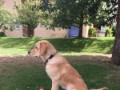 cooper-11  Cooper