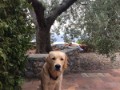 cooper-14  Cooper