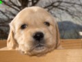 DSC05376-001