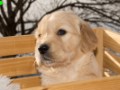 DSC05379-001