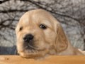 DSC05384-001