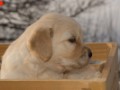 DSC05388-001