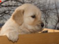 DSC05390-001