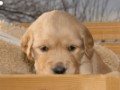 DSC05395-001