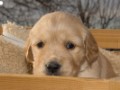 DSC05396-001