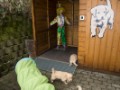 DSC05546