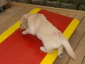 DSC05555