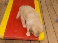 DSC05556