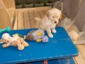 DSC05686