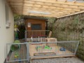 DSC06007