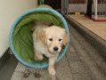 DSC06019