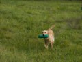 DSC00239