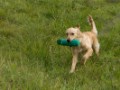DSC00240