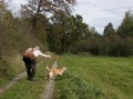 DSC00242
