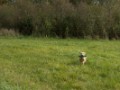 DSC00250