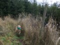 DSC03627