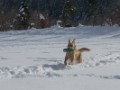 DSC04040