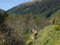 DSC09120