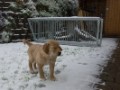 DSC06010