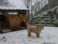 DSC06019