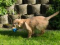 DSC06038