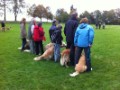IMG 1441