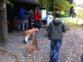 IMG 1451