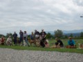 DSC09230